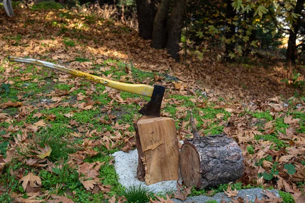 Ascia con lama affilata per tagliare la legna per un camino per il riscaldamento d — Foto Stock
