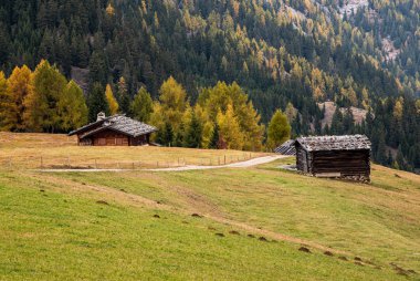 Do vadisindeki güzel dağ kepçeleri Alpe di Siusi vadisi.
