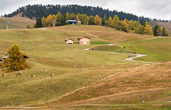 Beautiful mountain wooden chalets Alpe di Siusi valley on the Do — 스톡 사진