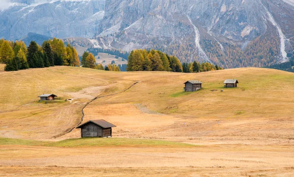 Prachtige houten chalets in de Alpe di Siusi vallei op — Stockfoto