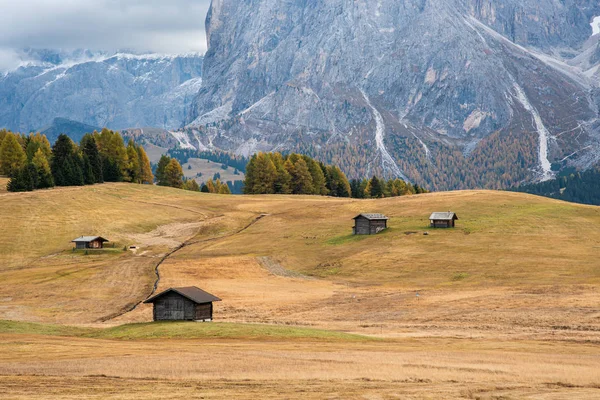 Gyönyörű hegyi faházak az Alpe di Siusi völgyben — Stock Fotó