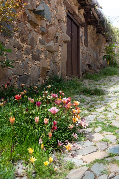 Traditional courtyard of the old  village of Fikardou  with vint — Stock Photo, Image