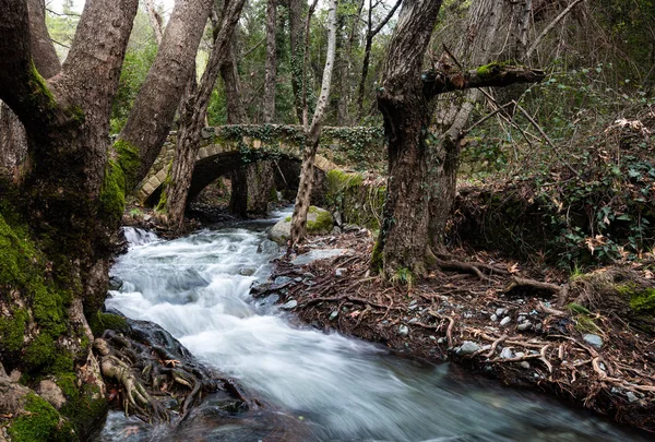 Bela ponte medieval apedrejada com rio cheio de água flo — Fotografia de Stock