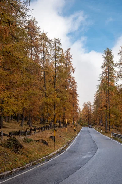 Strada rurale vuota nelle montagne alpine italiane durante l'autunno — Foto Stock