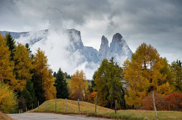 Paisaje con campo de pradera de otoño y árboles dolomita guisante rocoso —  Fotos de Stock