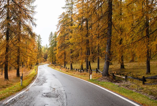Estrada rural vazia nas montanhas alpinas italianas durante o outono — Fotografia de Stock