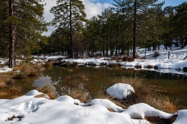 Dağlarla kaplı kış ormanı manzarası ve gölün yansımaları. Kıbrıs 'taki Troodos Dağları