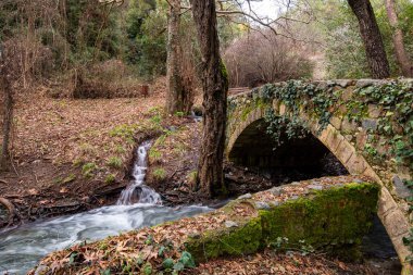Kıbrıs 'taki Troodos dağlarında akan suyla dolu güzel bir ortaçağ taşlı köprüsü.