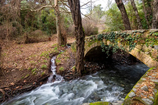 Beautiful Medieval Stoned Bridge Milia River Full Water Flowing Troodos — Stock Photo, Image