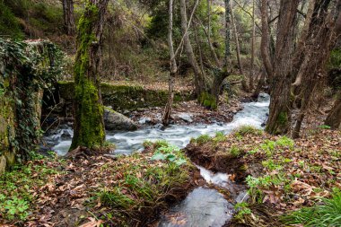Kıbrıs 'taki Troodos dağlarında akan suyla dolu güzel bir ortaçağ taşlı köprüsü.