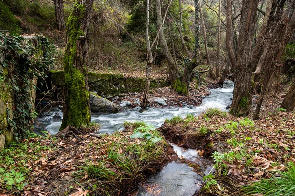 Kıbrıs 'taki Troodos dağlarında akan suyla dolu güzel bir ortaçağ taşlı köprüsü.