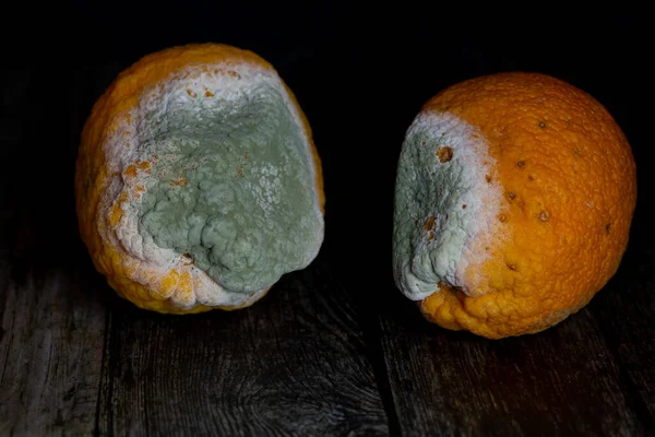 Naranjas Podridas Naranja Mohoso Sobre Fondo Negro Estudio — Foto de Stock