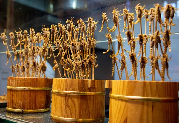 Gotowane Smaczne Smażone Skorpiony Patyku Specjalne Chińskie Tradycyjne Jedzenie Uliczne — Zdjęcie stockowe