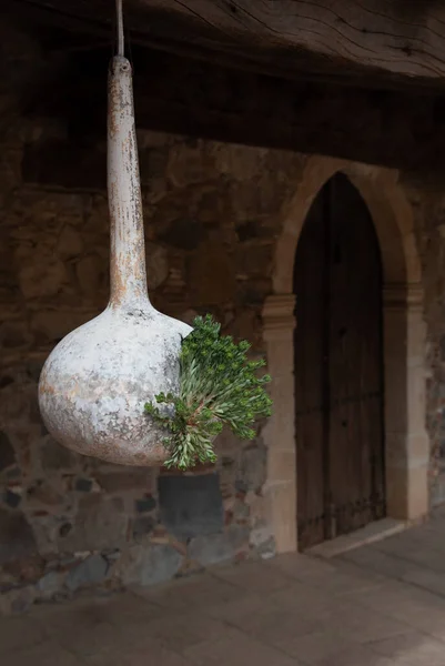 キプロスの伝統的な家の屋上から吊るされた乾燥したカボチャに成長する緑の新鮮な植物 — ストック写真