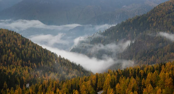 意大利Apls南部的Passo Falzarego地区白云石秋天的森林景观 — 图库照片