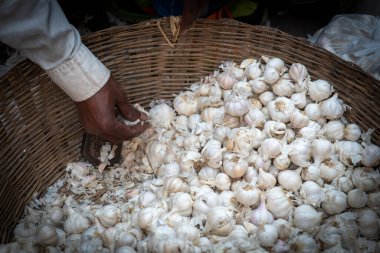 Adam marketten taze sarımsaklı sebze seçiyor.