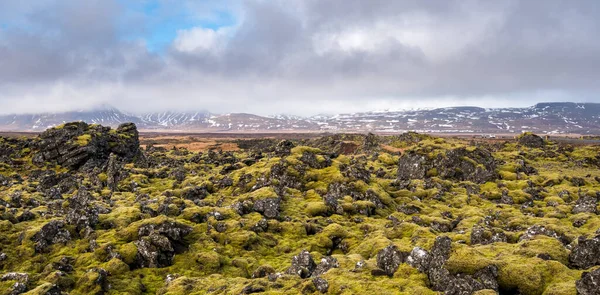 Paysage Islandais Couvert Mousse Roches Volcaniques Dans Péninsule Snaefellsnes — Photo