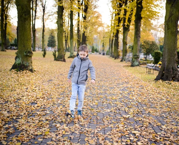 Menino feliz brincando com folhas coloridas — Fotografia de Stock