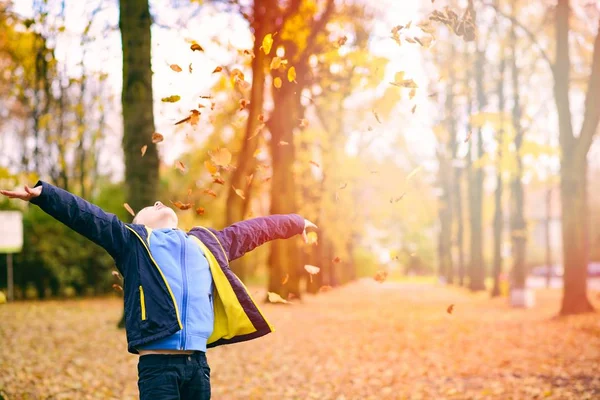 Happy usměvavý chlapeček hraje v podzimním parku — Stock fotografie