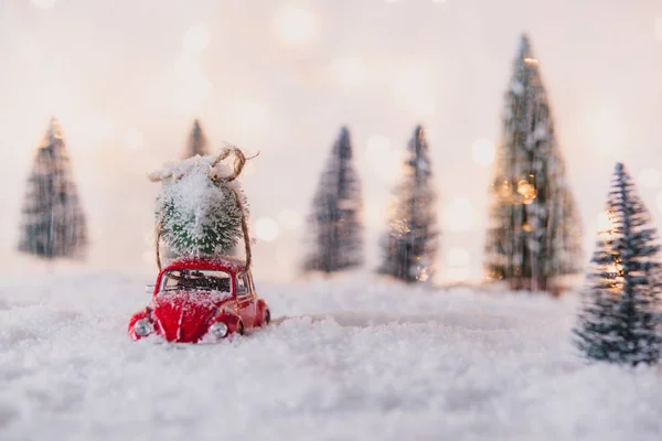 Pequeño juguete rojo del coche que lleva el árbol de Navidad — Foto de Stock