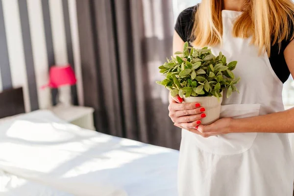 Woman in white apron holding house plant — Stock Photo, Image