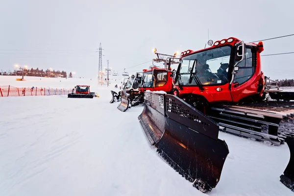 Kırmızı ratraks dağ