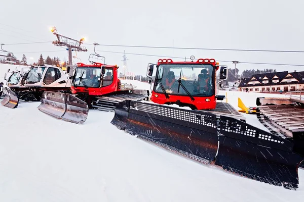 Kırmızı ratraks dağ