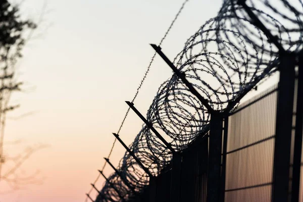 Keskin dikenli tel çit üzerinde