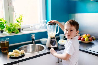 Taze meyve blender karıştırma küçük çocuk çocuk