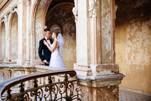 Young beautiful newlyweds hugging and kissing — Stock Photo, Image