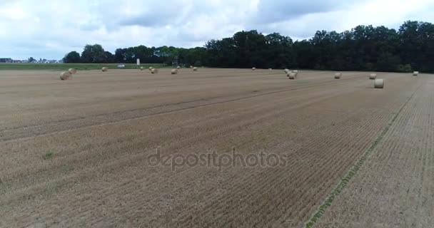 Field after harvest with twisted haystacks. — Stock Video