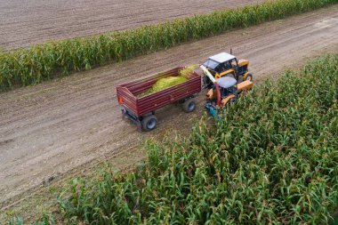 çalışma traktör ve mısır hasat