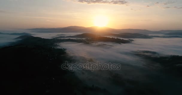 Drone flygning över drömmande dimmigt dalen under sunrise. — Stockvideo