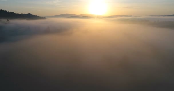 Vuelo de aviones no tripulados sobre el valle brumoso durante el amanecer — Vídeo de stock