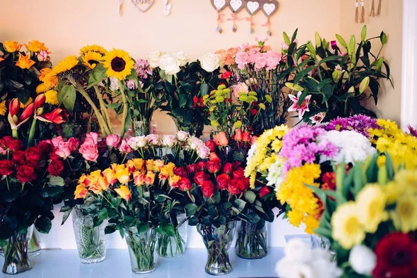 Diferentes flores en venta — Foto de Stock