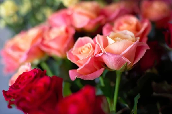 Beautiful bouquet of red and pink roses — Stock Photo, Image