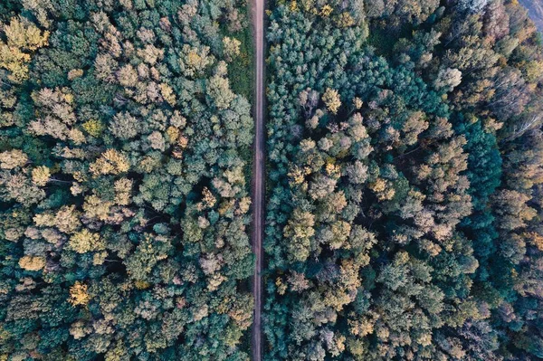 Vista aérea da estrada de terra na floresta — Fotografia de Stock