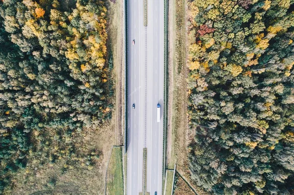 Luftfoto af motorvejen i efteråret . - Stock-foto