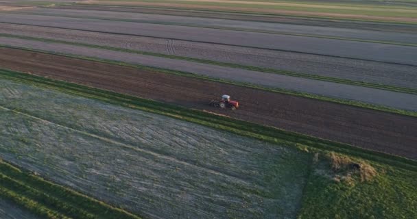 Widok anteny drone traktor orze pole — Wideo stockowe
