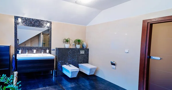 Moderne Toilette mit Waschbecken — Stockfoto