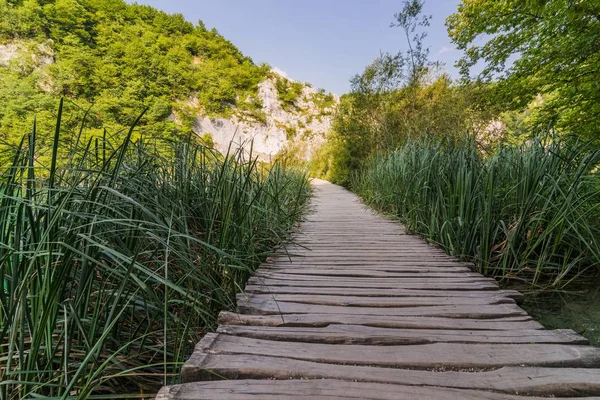 Houten pad door calamus. — Stockfoto