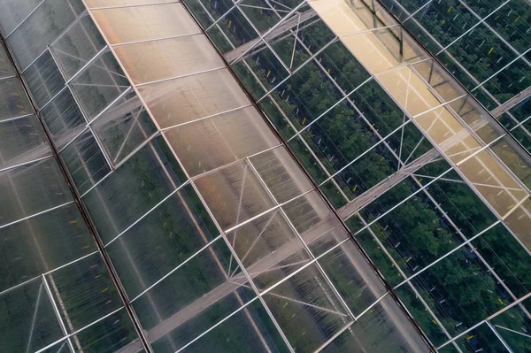 Drohnenblick auf große moderne Glashäuser — Stockfoto
