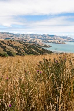 Akaroa, doğal liman için yeni tepeler haddeleme genelinde görüntülemek 