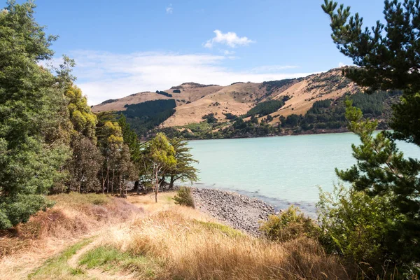 Gołąb Bay. Akaroa. Wyspa Południowa, Nowa Zelandia — Zdjęcie stockowe