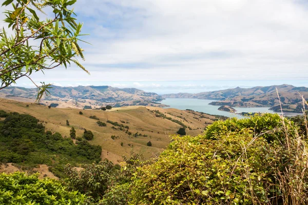 Wyświetlanie całej wzgórza do przystani Akaroa, Nowa — Zdjęcie stockowe