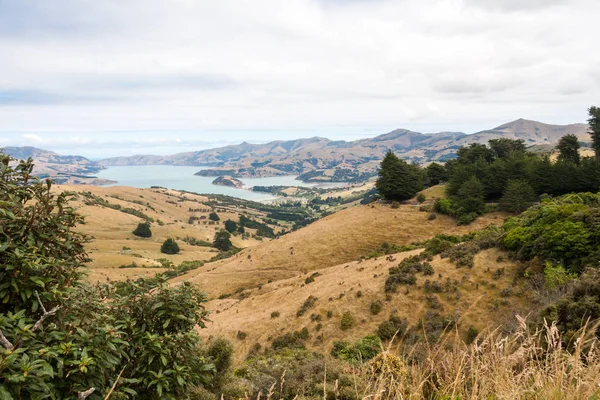 Wyświetlanie całej wzgórza do przystani Akaroa, Nowa — Zdjęcie stockowe