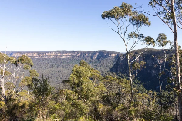 Udsigt Blue Mountains New South Wales Australien - Stock-foto