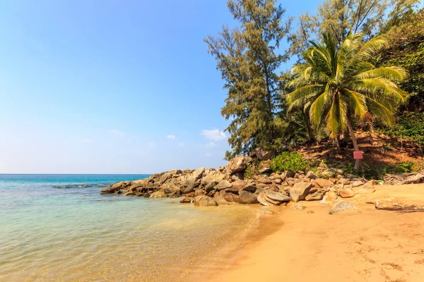 Palmträd på Banana Beach — Stockfoto
