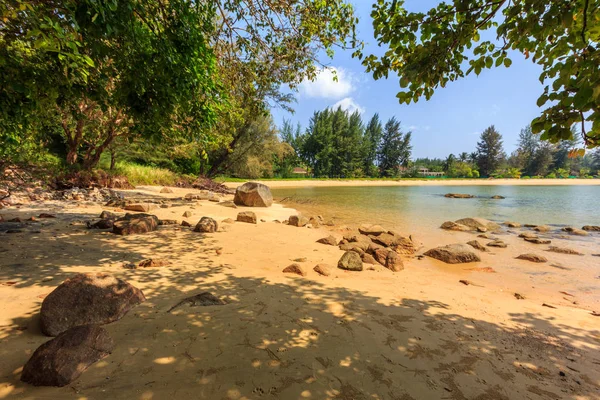 Árboles en la playa de Nai Yang, Phuket, Tailandia —  Fotos de Stock