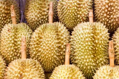 Durian meyve Satılık